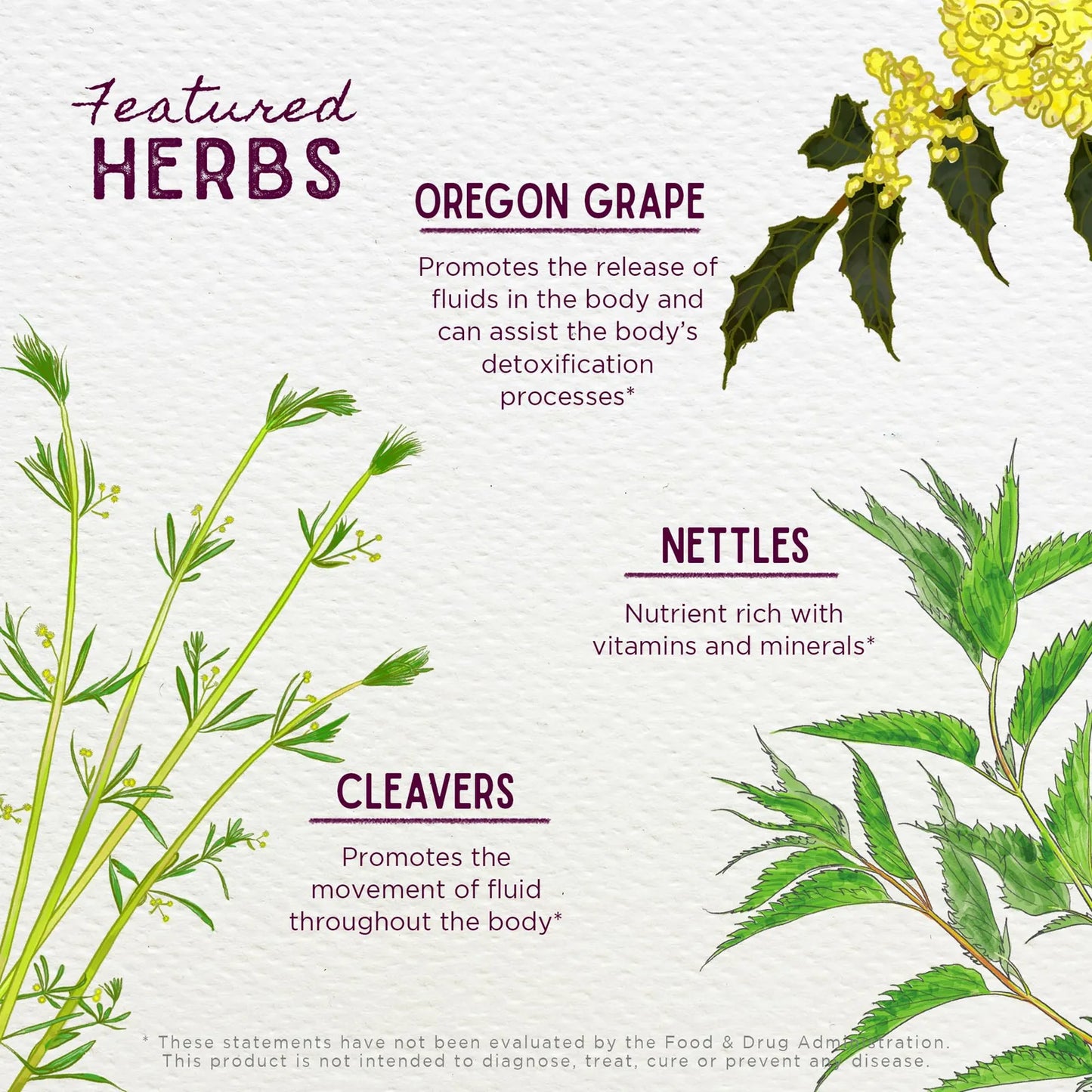 Herbs Deep Cleanse Suplemento Limpieza Organica Cardo Mariano Bardana Salud Hepatica