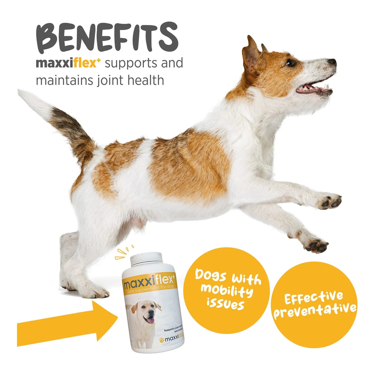 Suplemento Articular Para Perros Maxxiflex+ 120 Tabletas Sabor Hígado Alivia Dolor Cadera