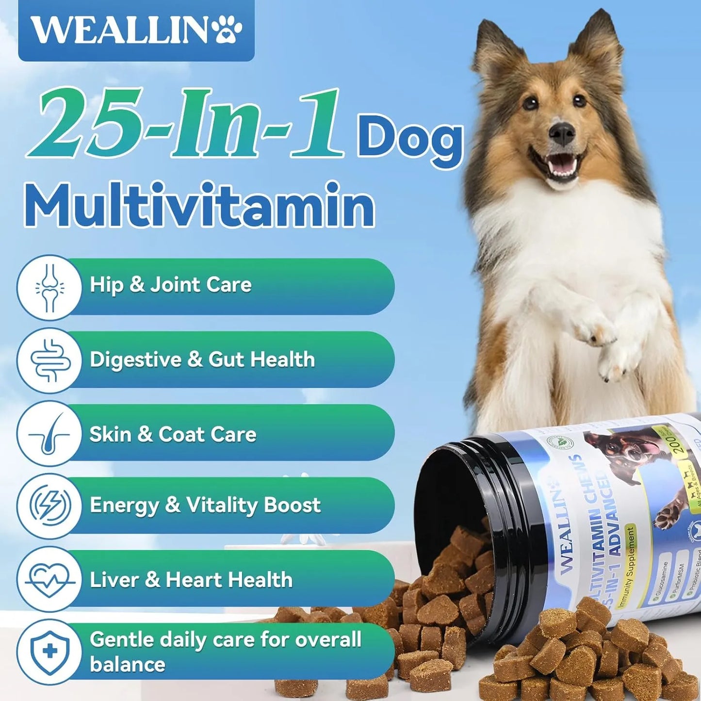 Vitaminas 25 En 1 Para Perros Masticables Con Probióticos Gl Salud Articulaciones Piel Y Pelaje