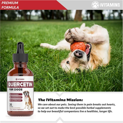 Quercetina Natural Para Perros Alivio Efectivo Alergias Sopo Importado Estados Unidos