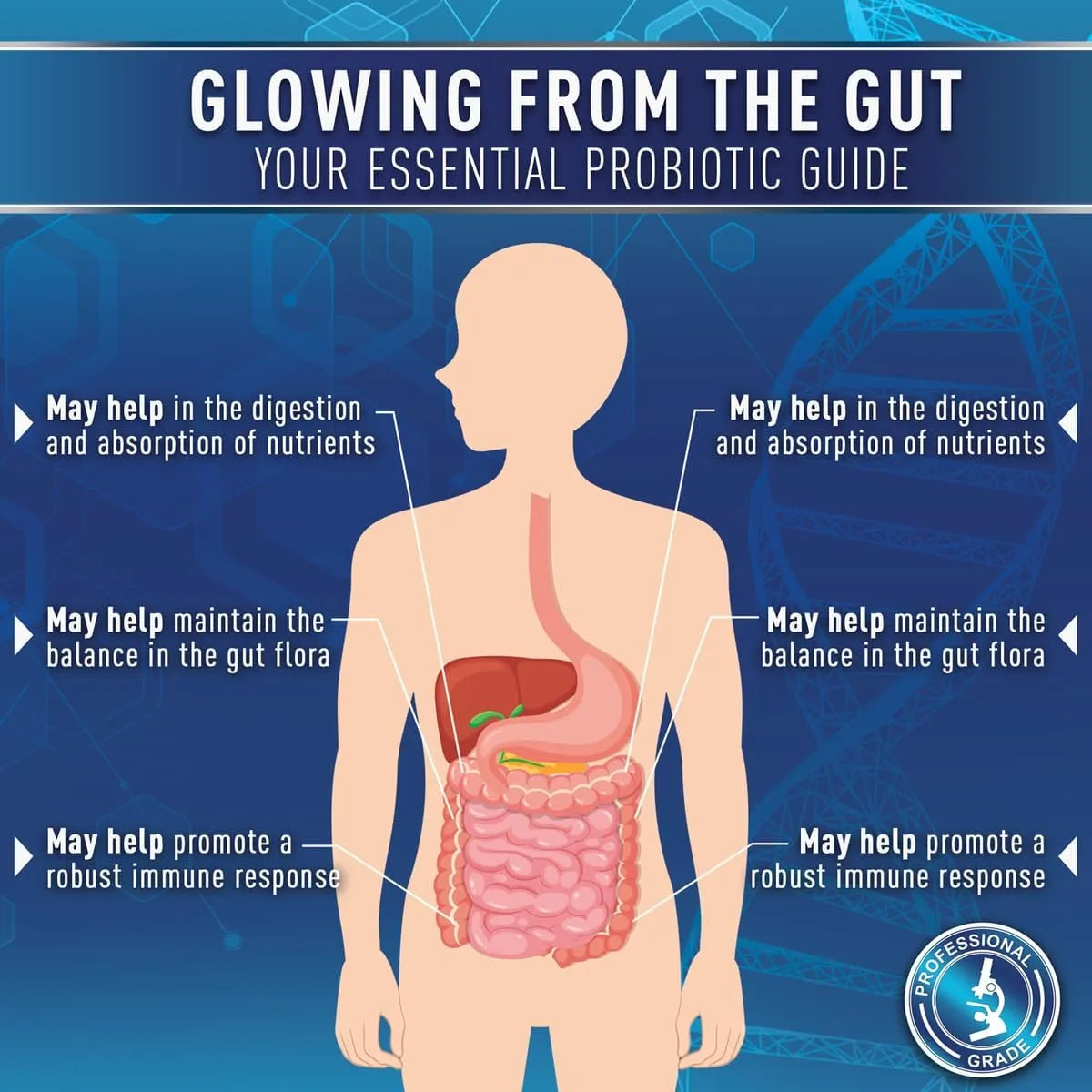 Probióticos Premium 60 Mil Millones CFU Con Prebióticos Orgánicos Y Enzimas Digestivas Para Salud Intestinal
