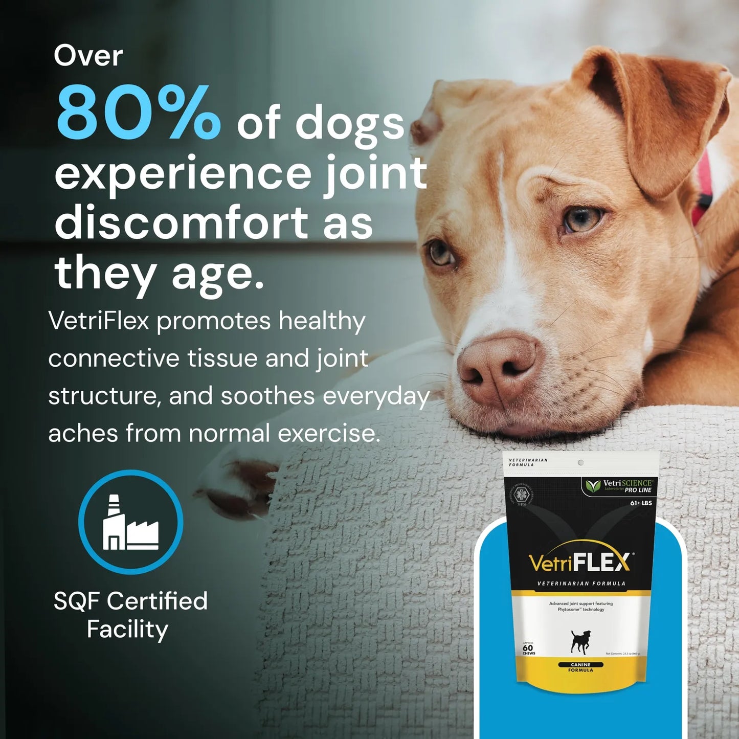 VetriFlex Suplemento Articular Masticable Para Perros Grandes Apoya Movilidad Y Flexibilidad