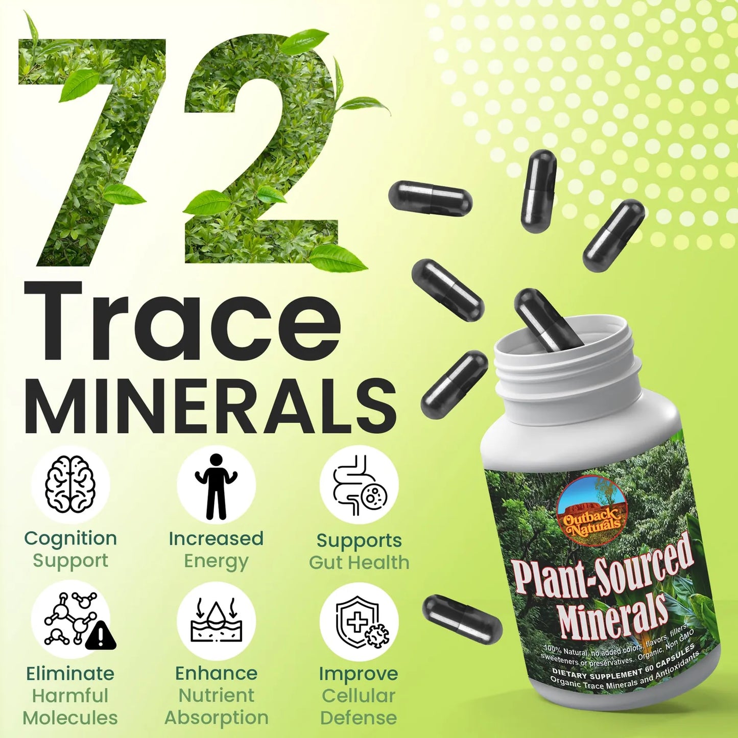 Mezcla Mineral Humica De Origen Vegetal Apoyo Inmunologico Vitalidad Y Digestión