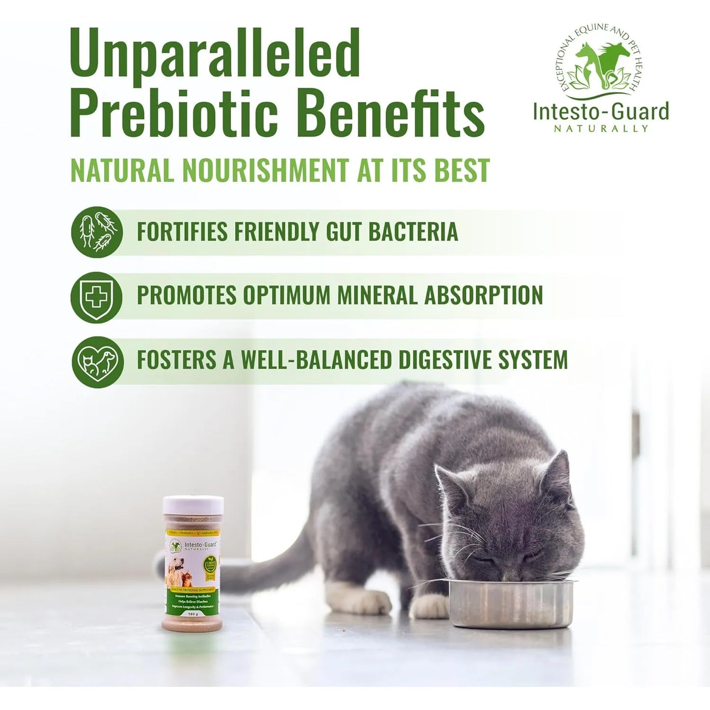 Probiótico En Polvo Para Perros Y Gatos Intesto Guard Apoyo Inmunológico Y Digestivo