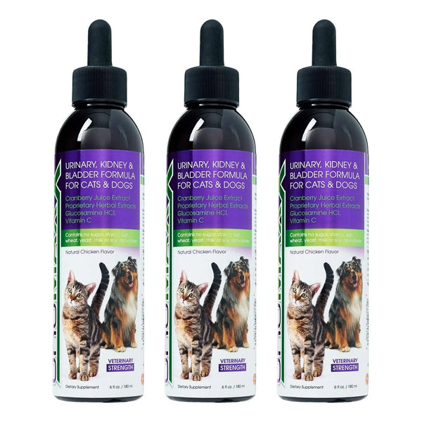 Tratamiento Urinario Para Gatos Y Perros Soporte Vejiga Riñón Natural