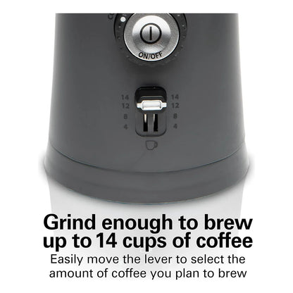 Molinillo De Café Eléctrico Hamilton Beach Ajustable 14 Tazas Acero Inoxidable