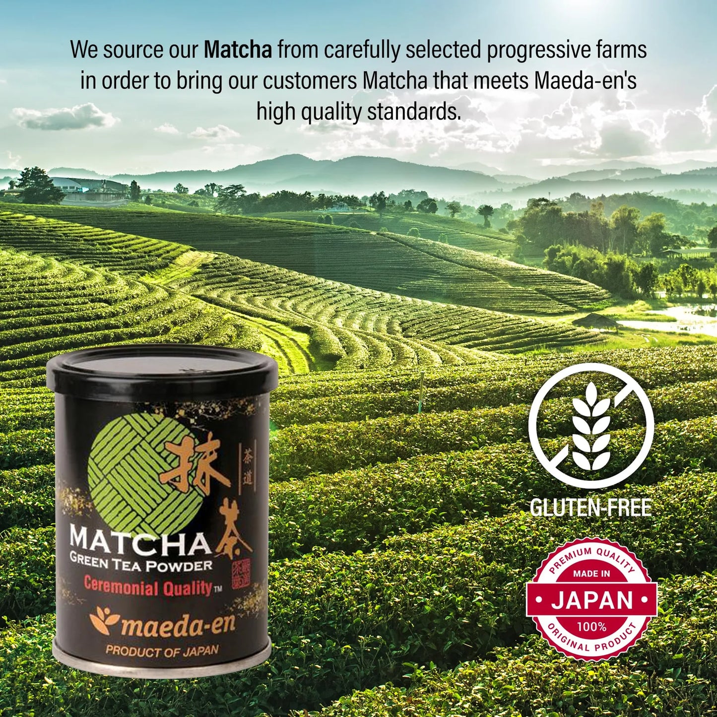 Té Verde Matcha Ceremonial Japonés En Polvo 28g Energía Natural Y Antioxidantes