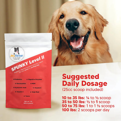 Suplemento Para Articulaciones De Perros Con Glucosamina MSM Y Probióticos Alivia Dolor Y Mejora Movilidad
