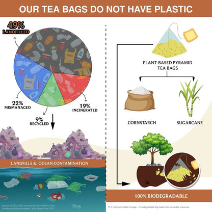 Masala Chai Bolsas De Té Piramidales 25 Unidades Especias Frescas Y Robustas