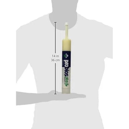 Gel Oral Probios Plus 300cc Para Rumiantes Energía Y Digestión Natural