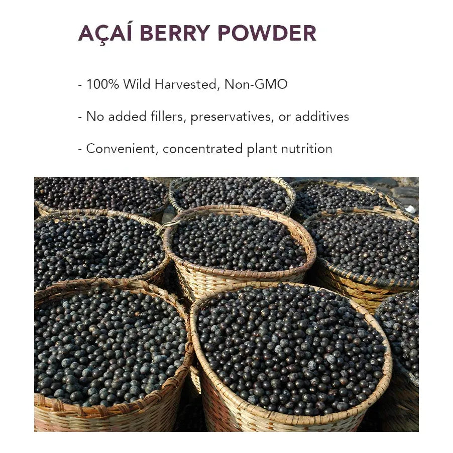 Polvo Organico De Bayas De Acai 4 Onzas Rico En Omega Y Antioxidantes