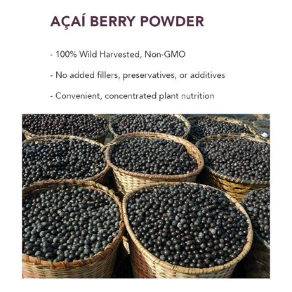 Polvo Organico De Bayas De Acai 4 Onzas Rico En Omega Y Antioxidantes