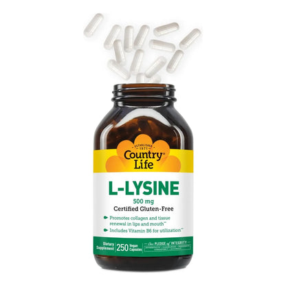 L Lisina 500mg Con B6 Refuerza Sistema Inmune Y Renovación De Colágeno 250 Cápsulas Veganas