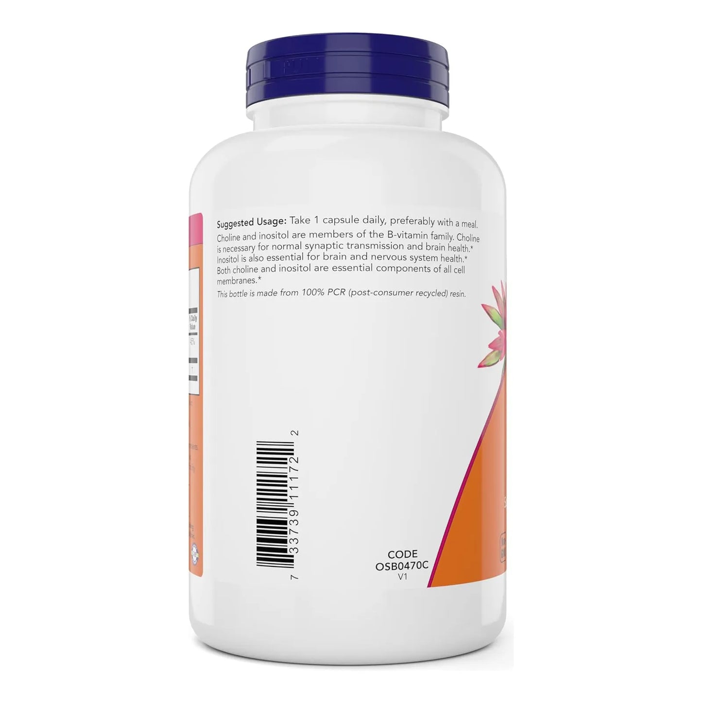 Cholina E Inositol 180 Cápsulas Vegetales Paquete Doble NOW Suplemento Cognitivo