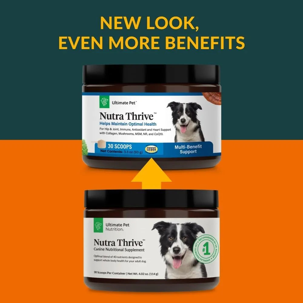 Nutra Thrive Canine Suplemento Nutricional 40 En 1 Para Perros Con Vitaminas Y Probióticos