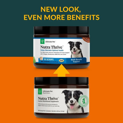 Nutra Thrive Canine Suplemento Nutricional 40 En 1 Para Perros Con Vitaminas Y Probióticos