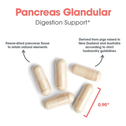Páncreas Natural Glandular 425 Mg Con Enzimas Digestivas Ami