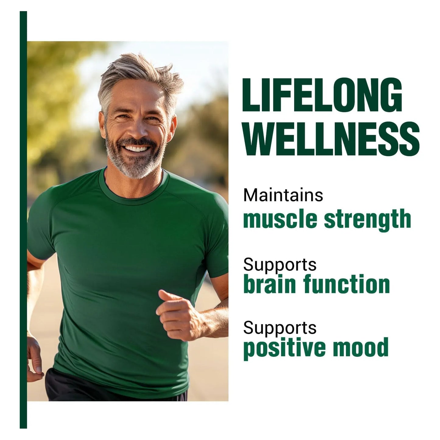 Nattoquinasa Y Gamma Oryzanol Suplemento Para Corazón Y Circulación LABO Nutrition