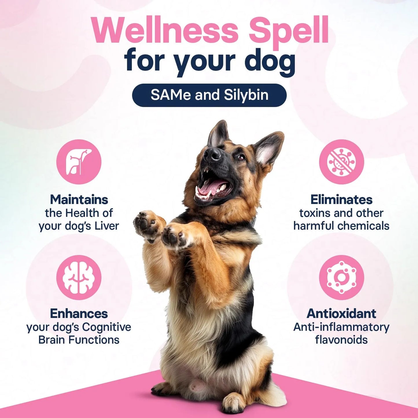 Suplemento Hepatico Para Perros Grandes Con SAMe Y Silibina 30 Tabletas