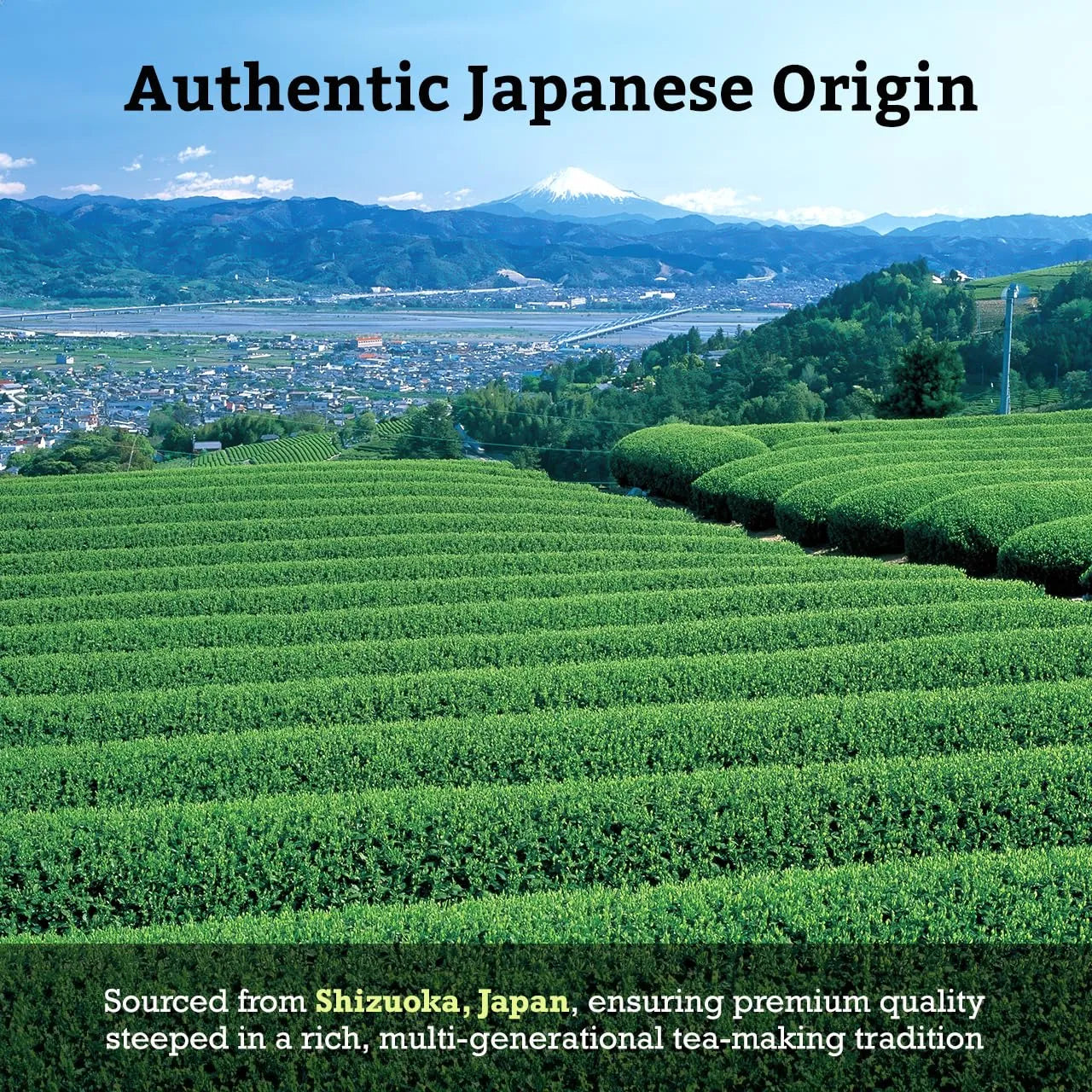 Té Verde Japonés Matcha Genmaicha Hoja Suelta 100g Importado
