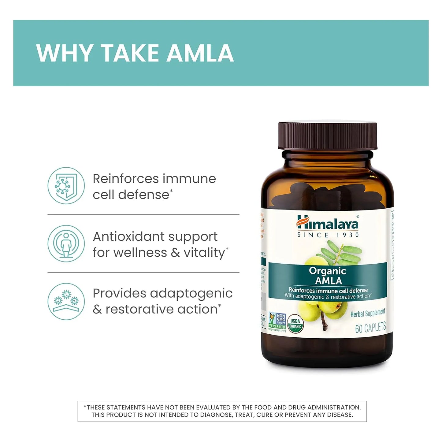 Amla Orgánico 600 Mg Apoyo Inmunológico Defensa Celular 60 Comprimidos