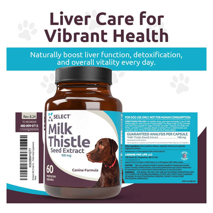 Cardo Mariano Para Perros 100 Mg 60 Cápsulas Salud Hepática Canina