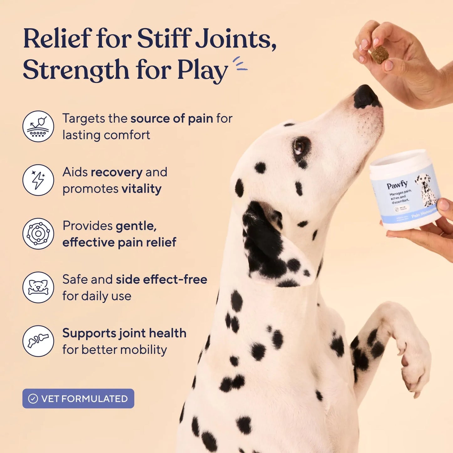 Suplemento Articular Para Perros Con Omega 3 Y Vitaminas Alivia Dolor Y Rigidez