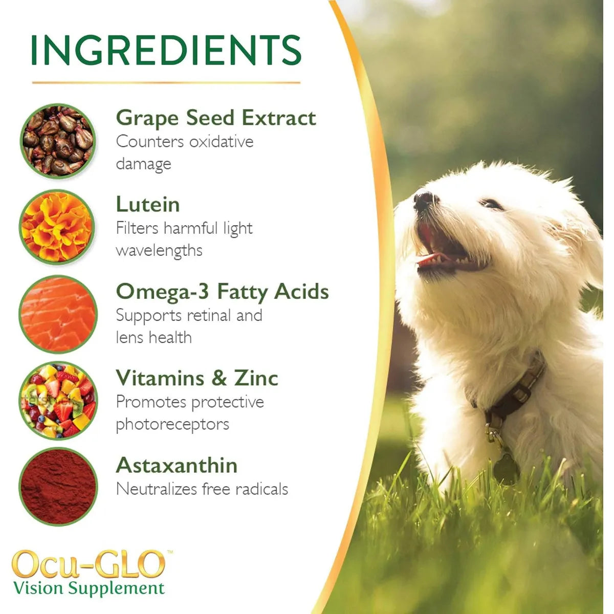 Ocu GLO Suplemento PB Vision Para Perros Y Gatos Con Luteina Y Omega 3
