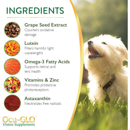 Ocu GLO Suplemento PB Vision Para Perros Y Gatos Con Luteina Y Omega 3