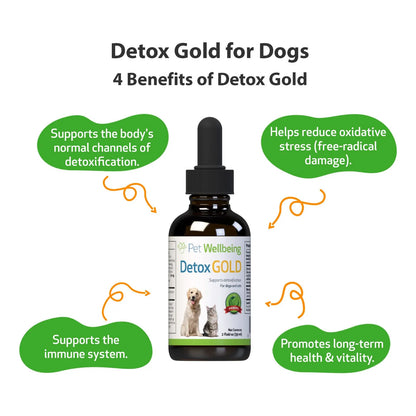 Detox Gold Para Perros Suplemento Natural Desintoxicante Y Fortalecedor Inmunologico