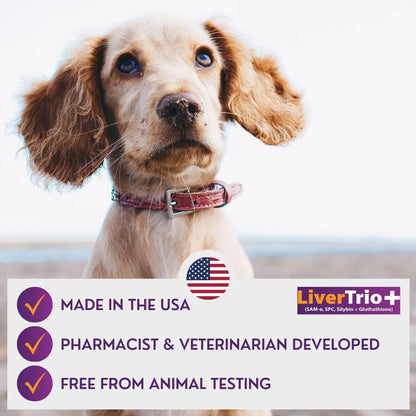 Tabletas Masticables Apoyo Hepático Perros Pequeños Medianos LiverTrio Plus