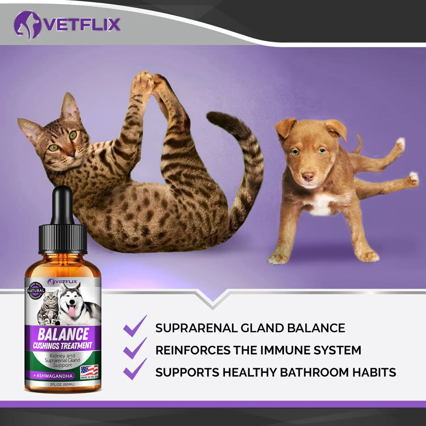Soporte Suprarrenal Para Perros Y Gatos Tratamiento Natural Cushings Vetflix Gotas 60 Ml
