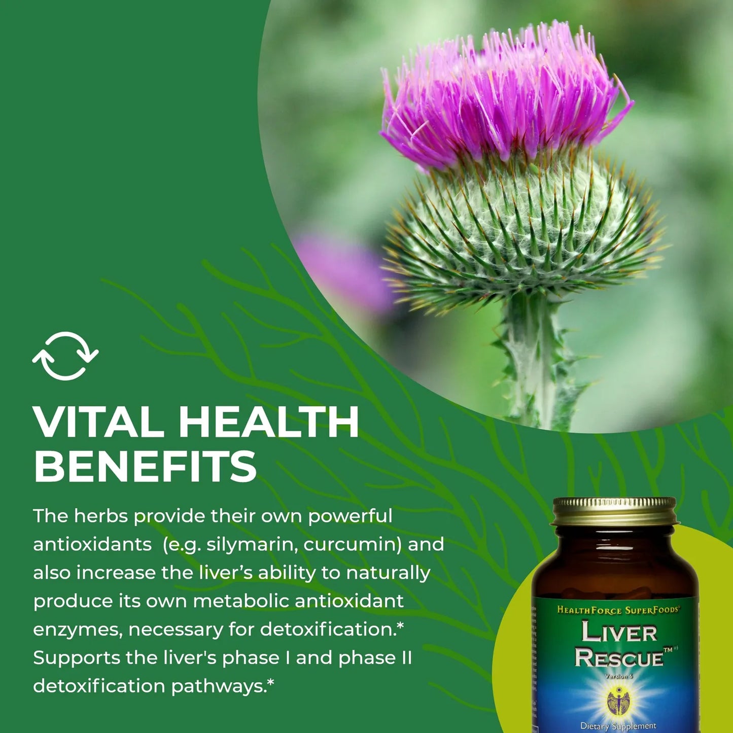 Liver Rescue 120 Capsulas Desintoxicante Hepatico Natural Con Cardo Mariano Y Diente De Leon Vegano Sin Gluten