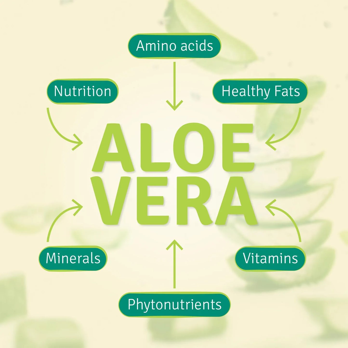Jugo De Aloe Vera Orgánico Hoja Entera Con Minerales Traza 32 Onzas Paquete De 2