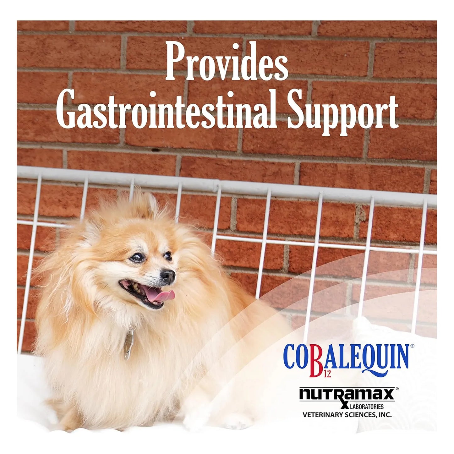 Cobalequin B12 Suplemento Para Gatos Y Perros Pequeños 45 Tabletas Nutramax