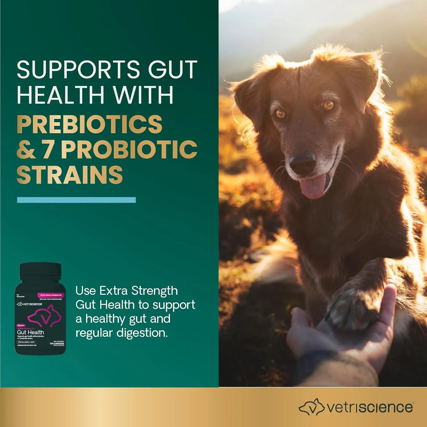 Mega Probiotic Para Perros Y Gatos 120 Capsulas VetriScience Laboratories Suplemento Digestivo