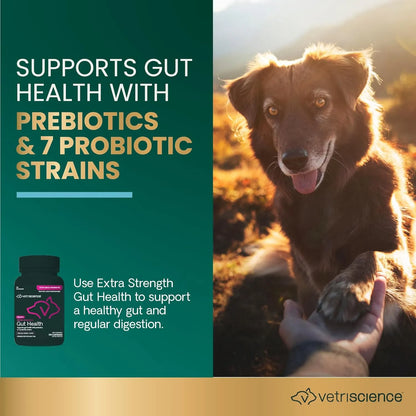 Mega Probiotic Para Perros Y Gatos 120 Capsulas VetriScience Laboratories Suplemento Digestivo
