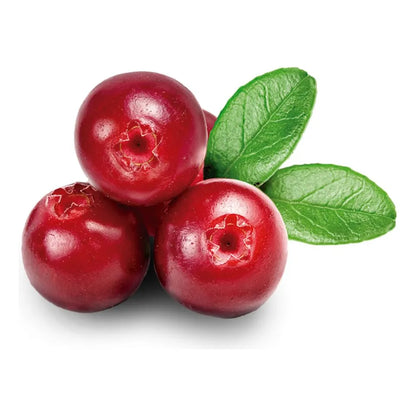 Extracto De Arándano Natural 240ml Sabor Intenso Para Repostería Y Bebidas