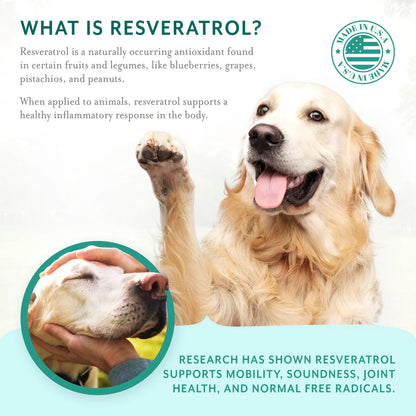 Masticables Suaves Para Perros Grandes Con Resveratrol Glucosamina Condroitina Sabor Tocino