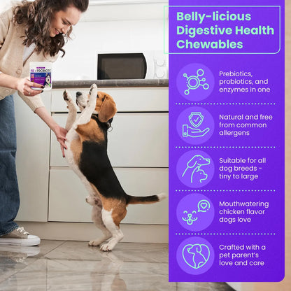 Probióticos Para Perros FREYDELL Alivio Estomacal Golosinas Digestivas