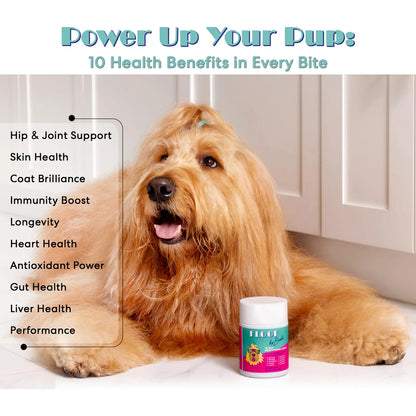 Multivitamina 10 En 1 Para Perros Y Cachorros Con Soporte Articular Y Cardiaco