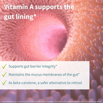 Probióticos Prebióticos 25 Mil Millones UFC Lactobacillus Acidophilus Salud Intestinal Vegano