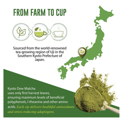 Té Verde Matcha Japonés Orgánico Grado Ceremonial Premium 3.5 Onzas