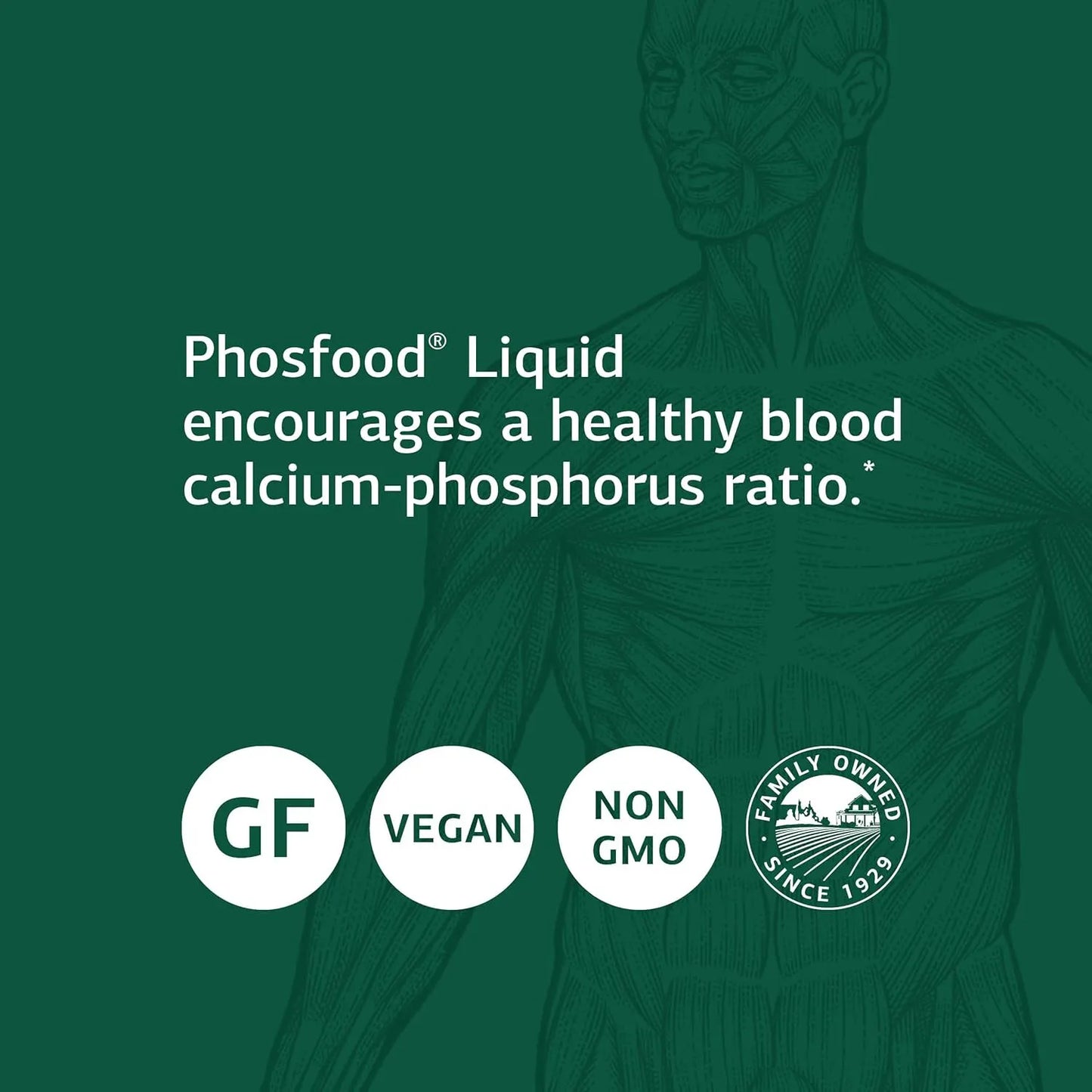 Fosfood Liquid Suplemento De Fosforo Para Salud Osea 2 Onzas
