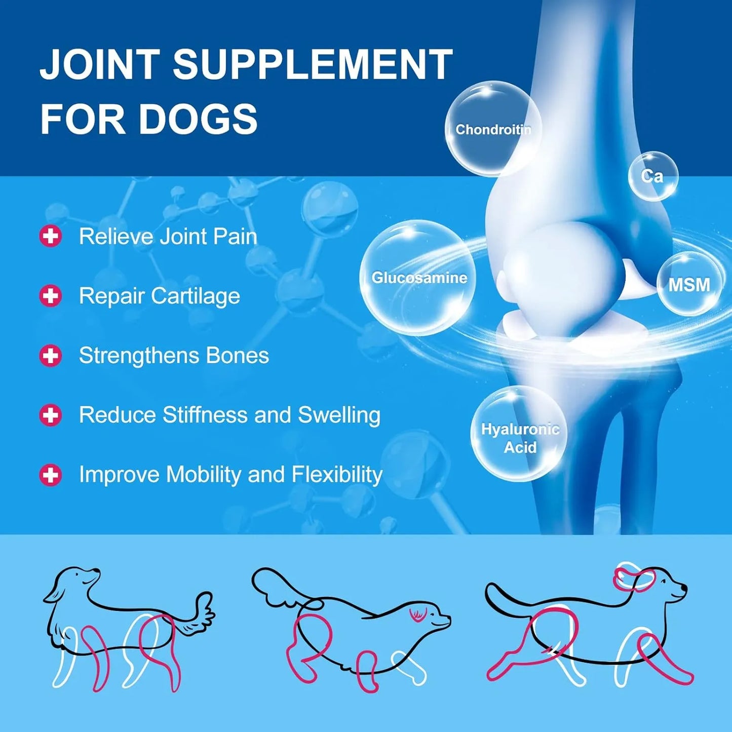 Vitaminas En Polvo Para Perros Probióticos Enzimas Digestivas Salud Articulaciones Piel