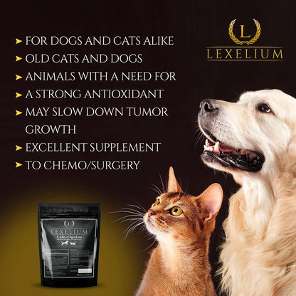 Mezcla Natural Life Optim Para Enfermedades Terminales En Perros Y Gatos 100 Efectiva