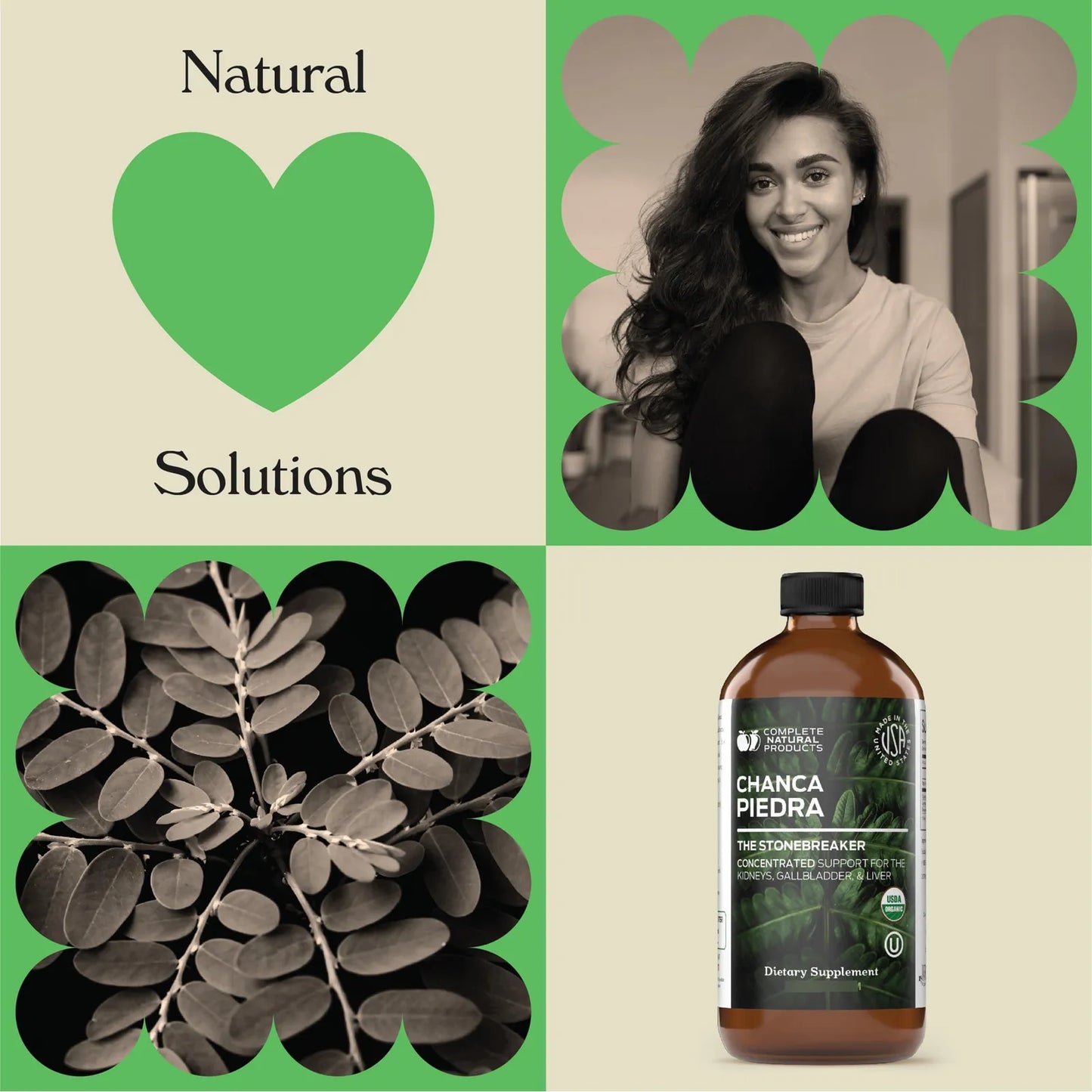 Extracto Orgánico De Chanca Piedra 473ml Tintura Natural Phyllanthus Niruri