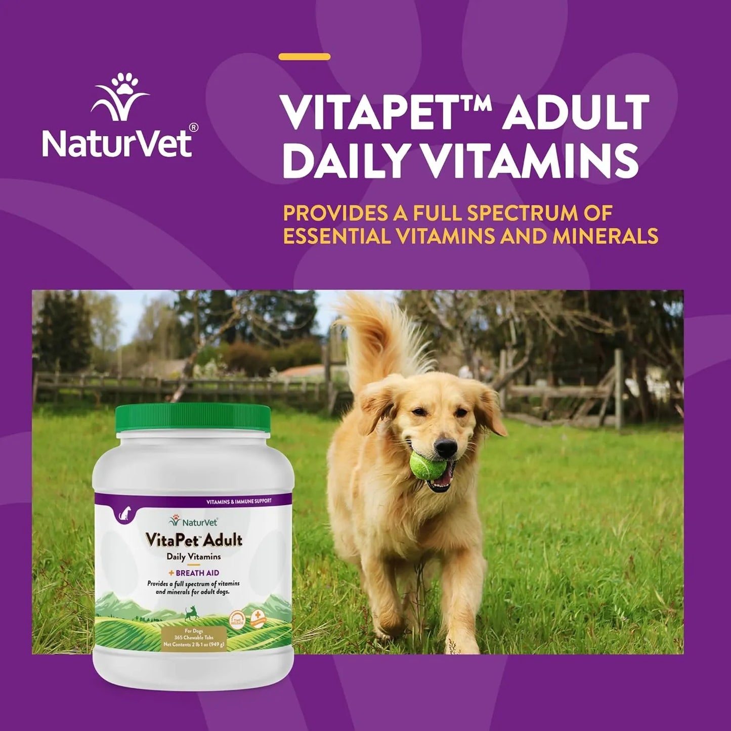 Tabletas Para Mejorar Aliento Perros Adultos NaturVet Vita Pet Plus Liberacion Prolongada 365 Ct