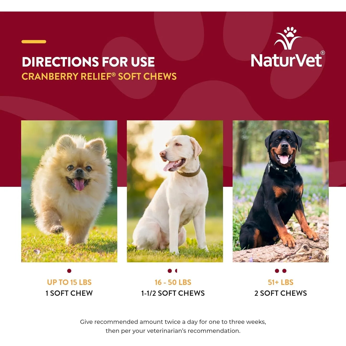 Bocados Masticables Con Arándanos Y Equinácea Para Salud Urinaria E Inmunológica De Tu Perro