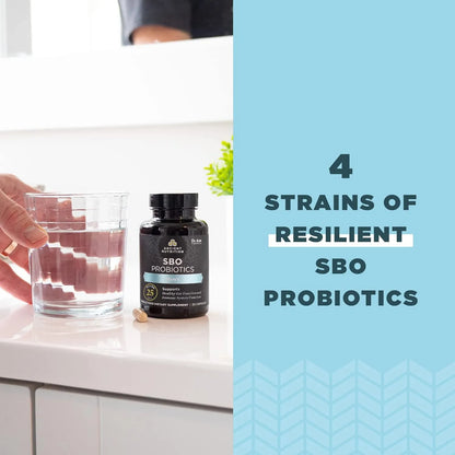 Probióticos Para Hombres 60 Cápsulas Salud Intestinal Apoyo Digestivo E Inmunológico Ancient Nutrition